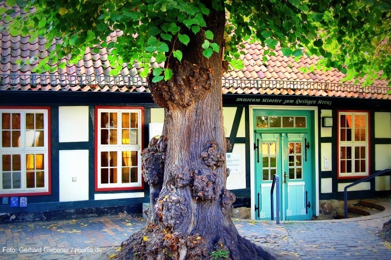 Kloster zum heiligen Kreuz in Rostock