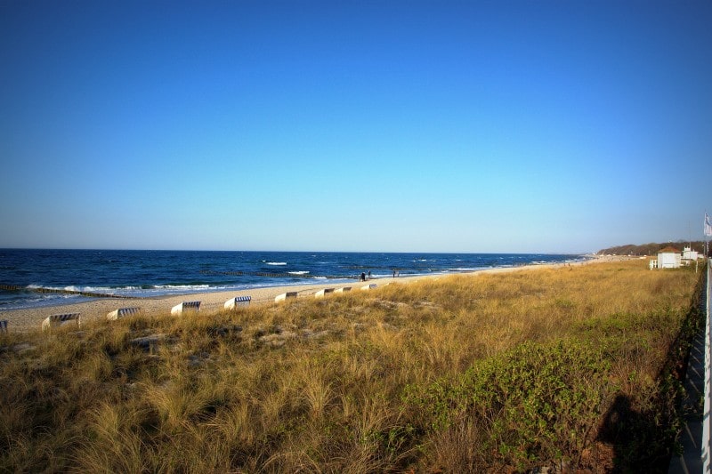 Strandgras und Dünung vor dem Haus Meeresblick in Kühlungsborn an der Ostsee