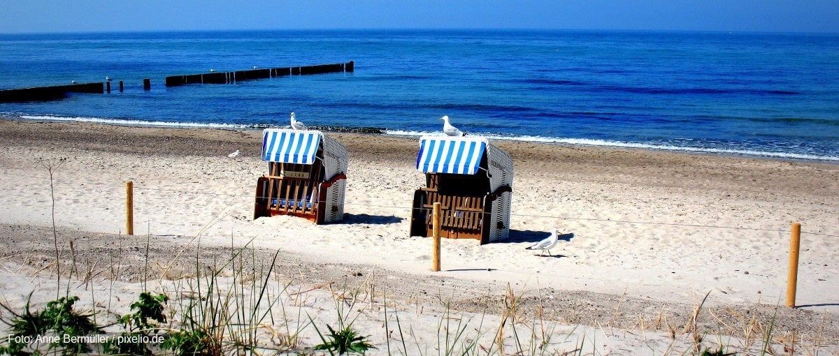 Zwei Möwen auf zwei Strandkörben am Strand von Kühlungsborn